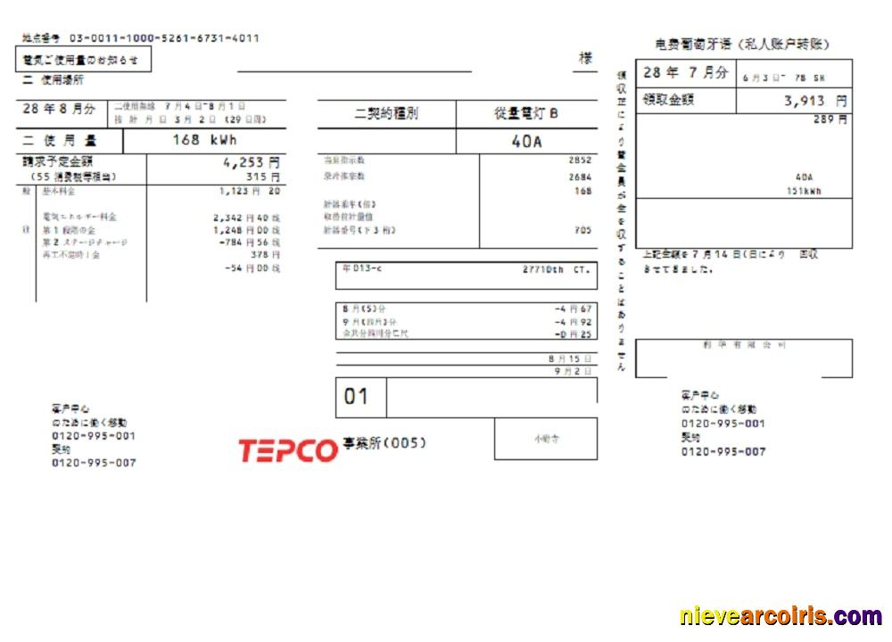 Japan Tokyo Electric Power Company TEPCO electricity utility bill